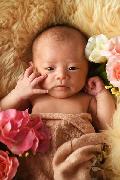 Photograph Daiki Fujiwara New Life on One Eyeland